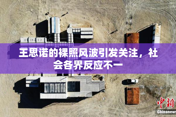 王思诺的裸照风波引发关注，社会各界反应不一
