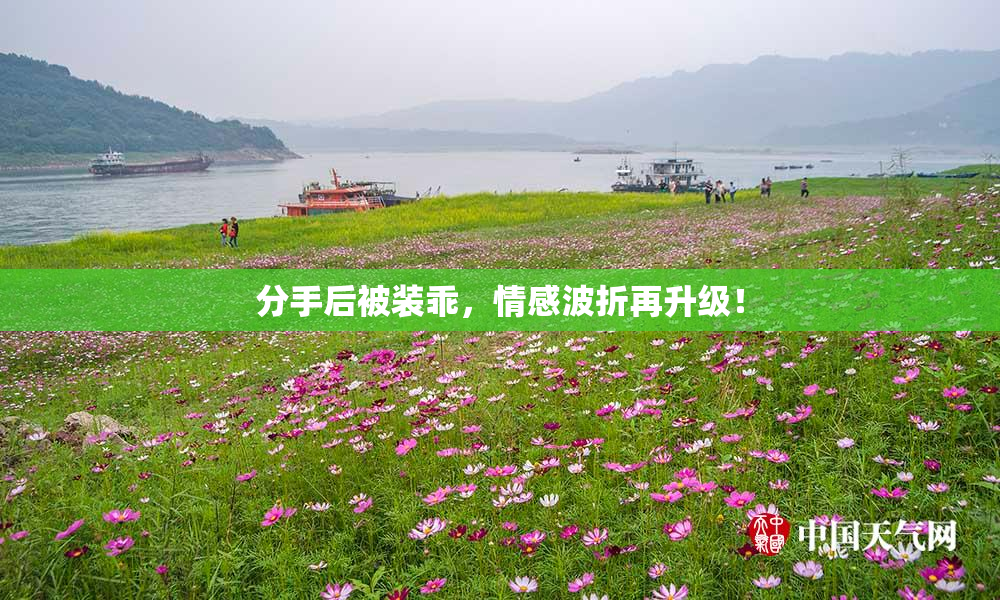分手后被装乖，情感波折再升级！