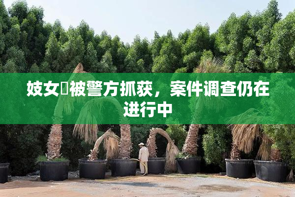 妓女梱被警方抓获，案件调查仍在进行中