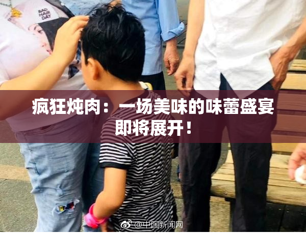 疯狂炖肉：一场美味的味蕾盛宴即将展开！