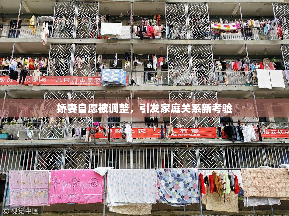 娇妻自愿被调整，引发家庭关系新考验