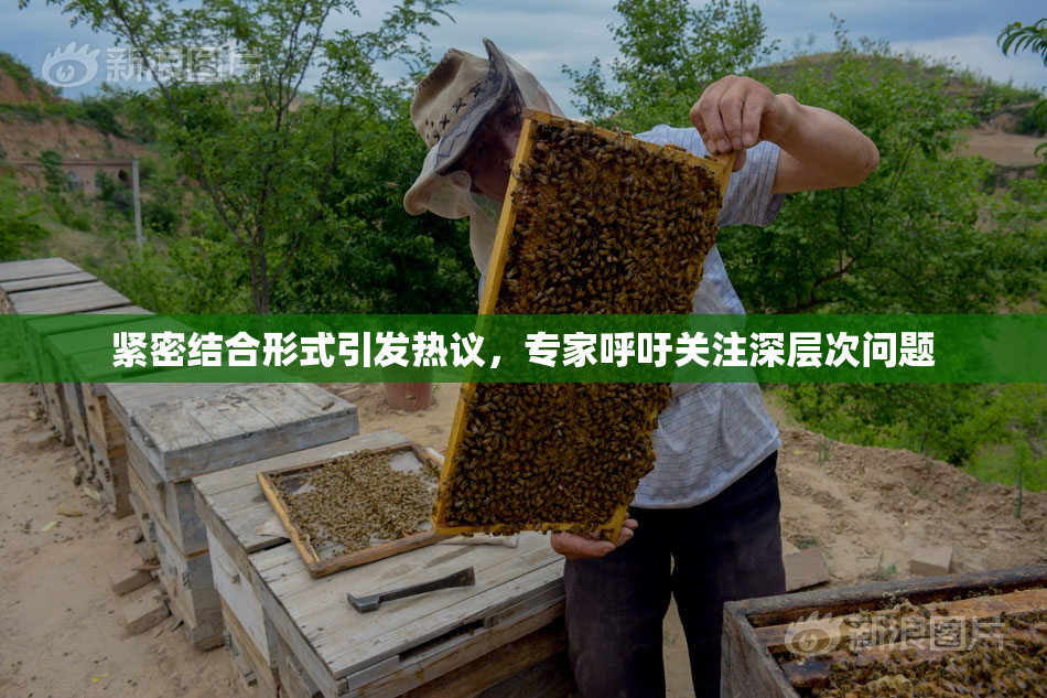 紧密结合形式引发热议，专家呼吁关注深层次问题