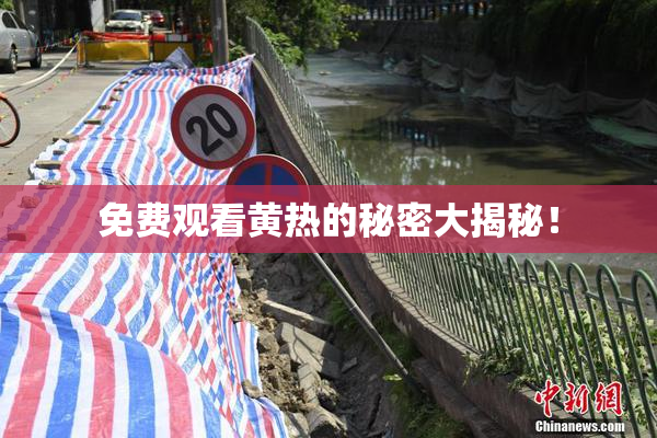 免费观看黄热的秘密大揭秘！