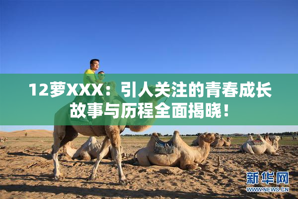 12萝XXX：引人关注的青春成长故事与历程全面揭晓！
