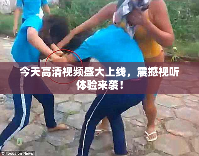 今天高清视频盛大上线，震撼视听体验来袭！