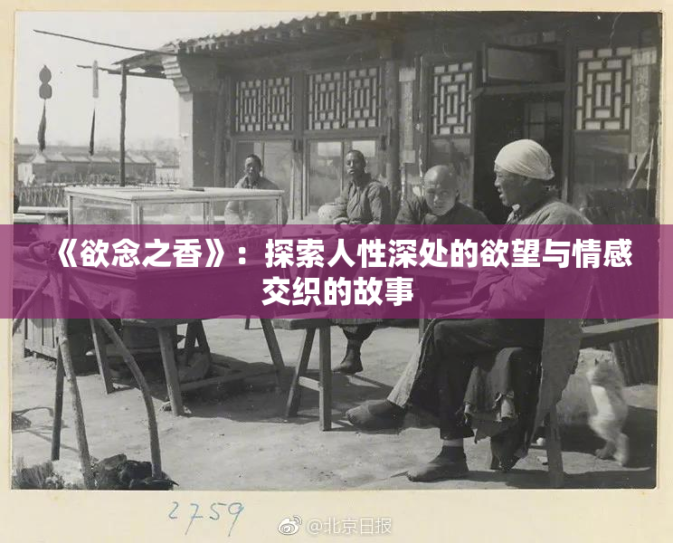 《欲念之香》：探索人性深处的欲望与情感交织的故事