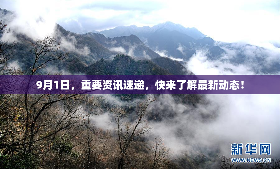 9月1日，重要资讯速递，快来了解最新动态！