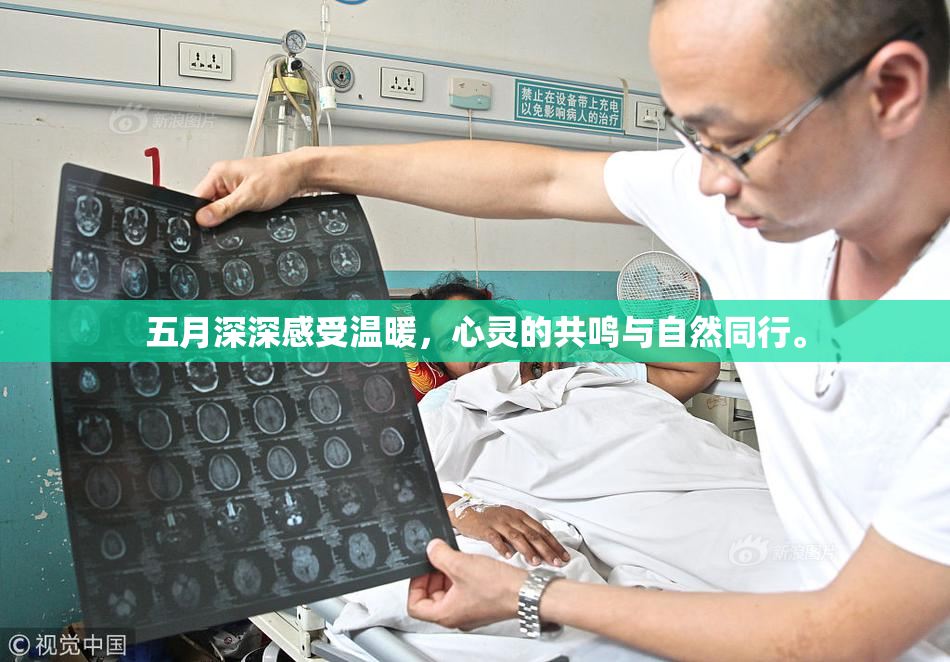 五月深深感受温暖，心灵的共鸣与自然同行。