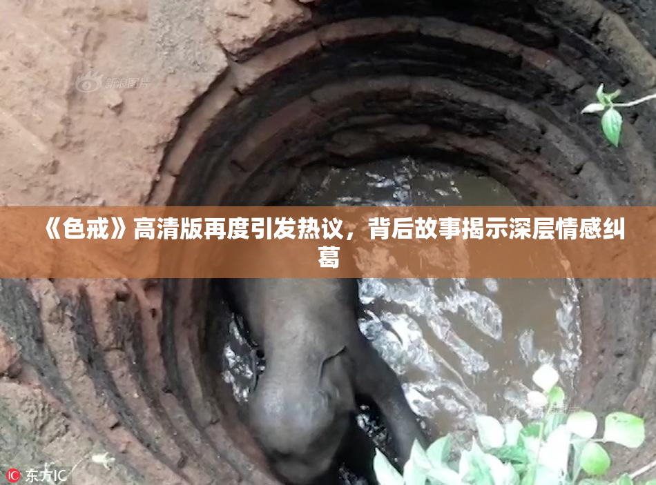 《色戒》高清版再度引发热议，背后故事揭示深层情感纠葛