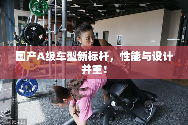 国产A级车型新标杆，性能与设计并重！