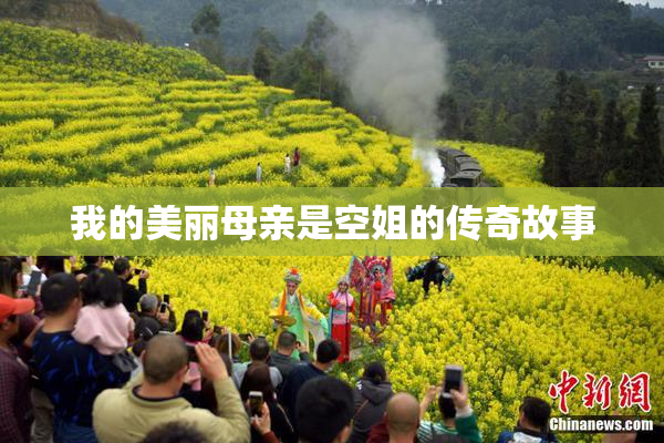 我的美丽母亲是空姐的传奇故事
