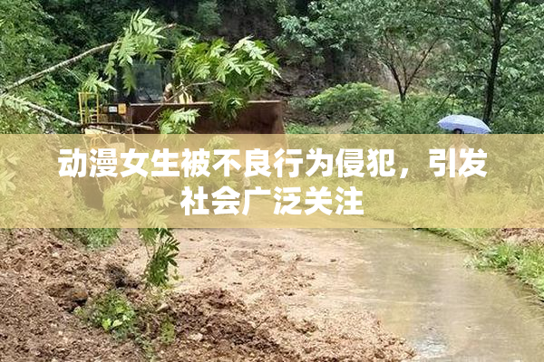 动漫女生被不良行为侵犯，引发社会广泛关注
