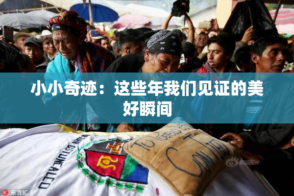 小小奇迹：这些年我们见证的美好瞬间