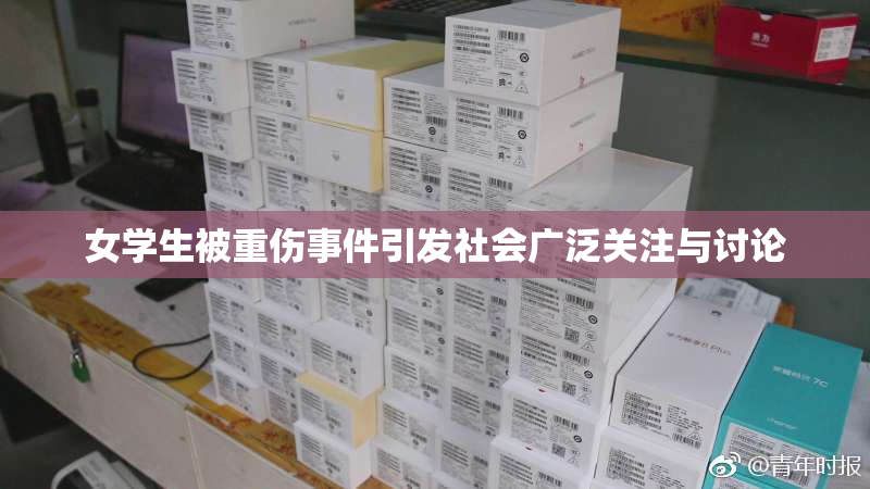 女学生被重伤事件引发社会广泛关注与讨论
