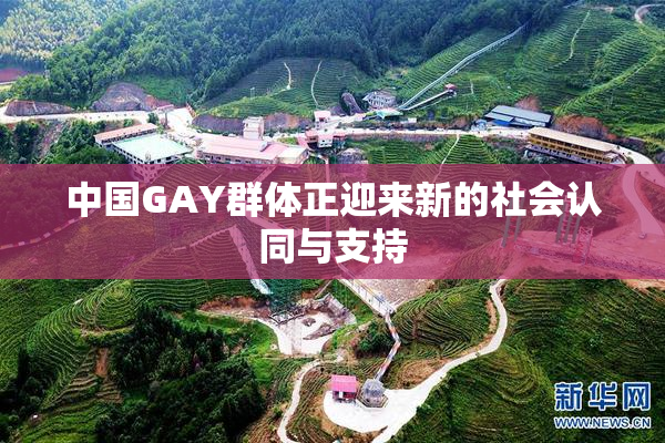 中国GAY群体正迎来新的社会认同与支持