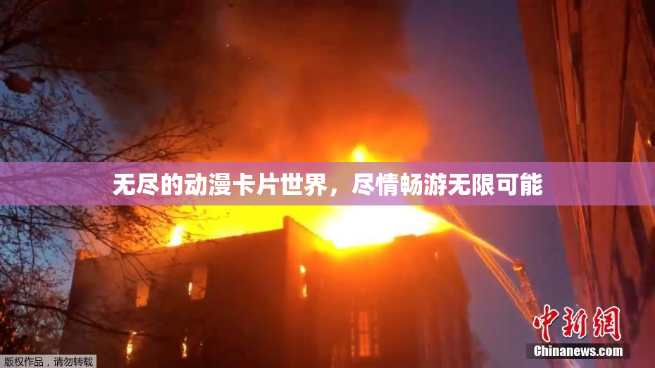 无尽的动漫卡片世界，尽情畅游无限可能