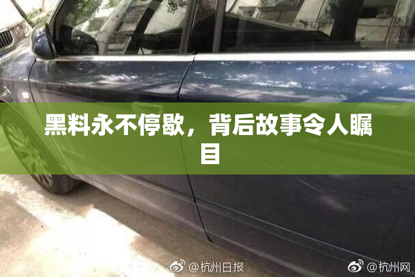 黑料永不停歇，背后故事令人瞩目
