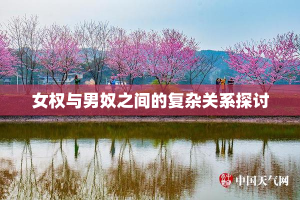 女权与男奴之间的复杂关系探讨