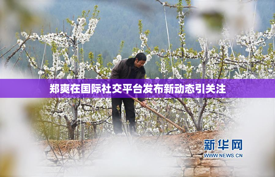 郑爽在国际社交平台发布新动态引关注