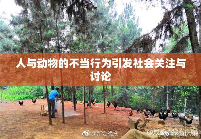 人与动物的不当行为引发社会关注与讨论