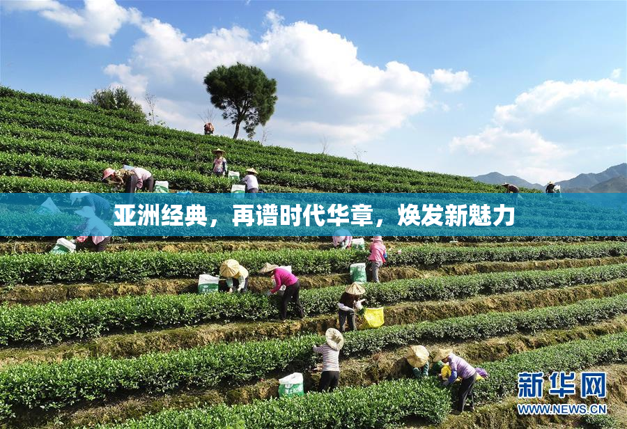 亚洲经典，再谱时代华章，焕发新魅力
