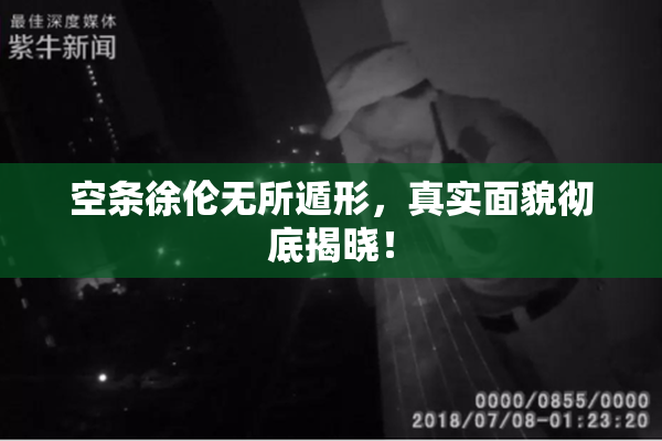 空条徐伦无所遁形，真实面貌彻底揭晓！