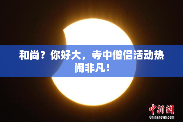 和尚？你好大，寺中僧侣活动热闹非凡！