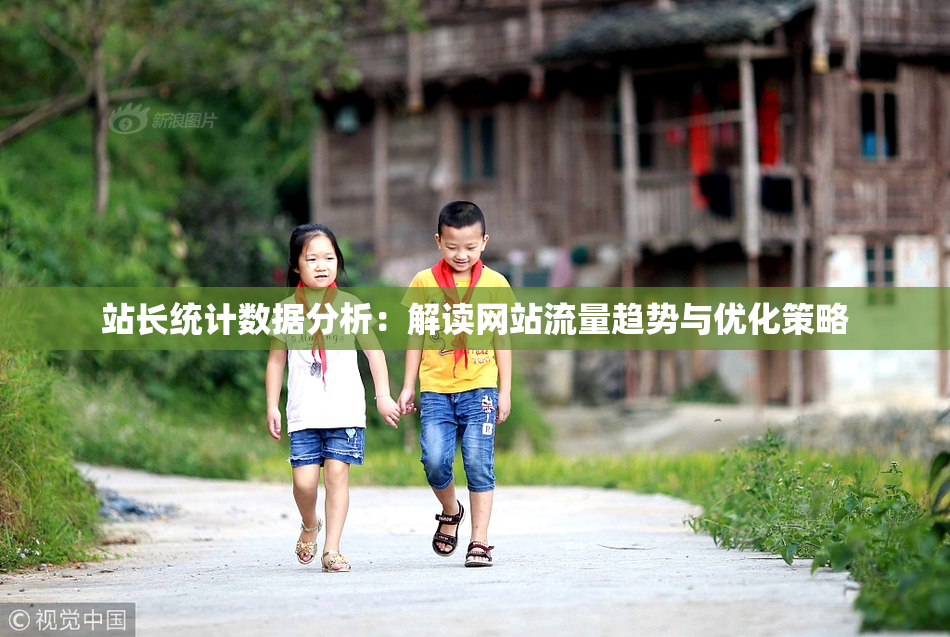 站长统计数据分析：解读网站流量趋势与优化策略