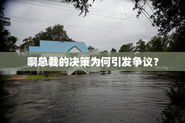 啊总裁的决策为何引发争议？