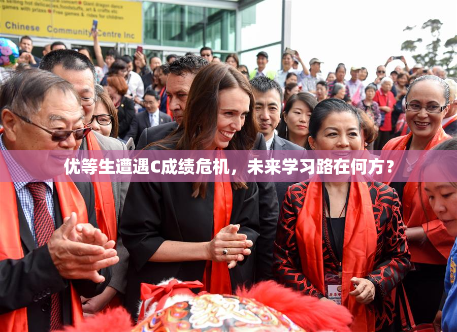 优等生遭遇C成绩危机，未来学习路在何方？