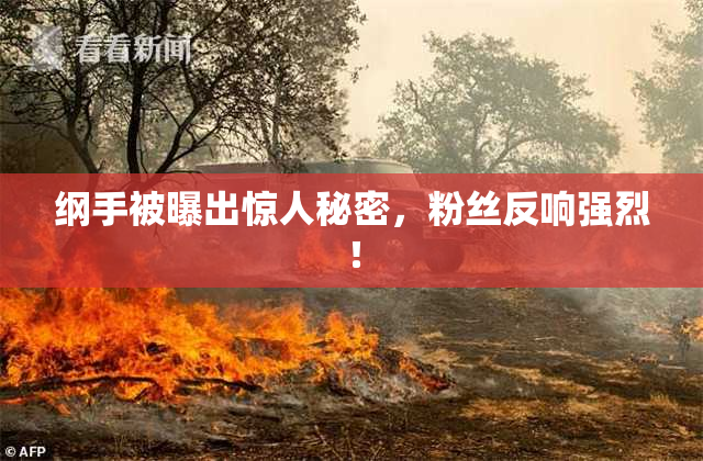 纲手被曝出惊人秘密，粉丝反响强烈！