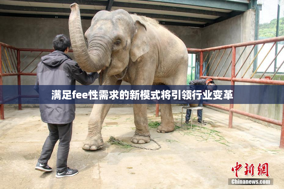 满足fee性需求的新模式将引领行业变革