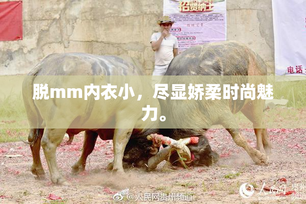 脱mm内衣小，尽显娇柔时尚魅力。
