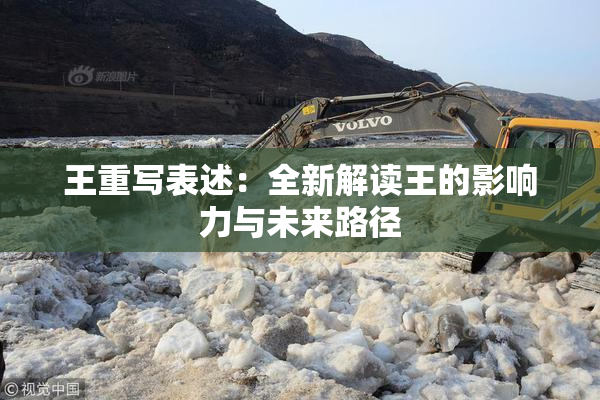 王重写表述：全新解读王的影响力与未来路径