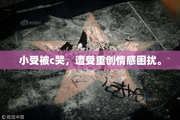 小受被c哭，遭受重创情感困扰。