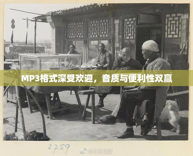 MP3格式深受欢迎，音质与便利性双赢