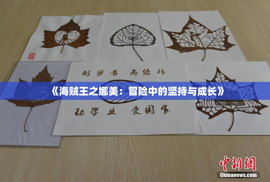 《海贼王之娜美：冒险中的坚持与成长》