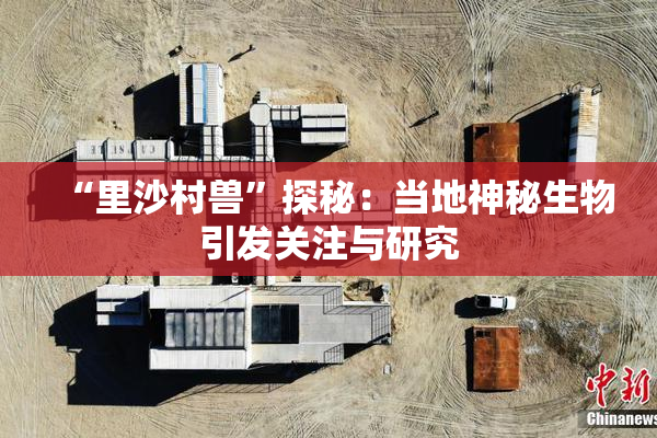 “里沙村兽”探秘：当地神秘生物引发关注与研究