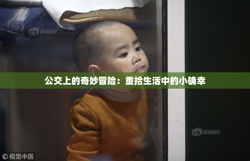 公交上的奇妙冒险：重拾生活中的小确幸