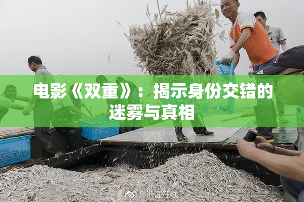 电影《双重》：揭示身份交错的迷雾与真相