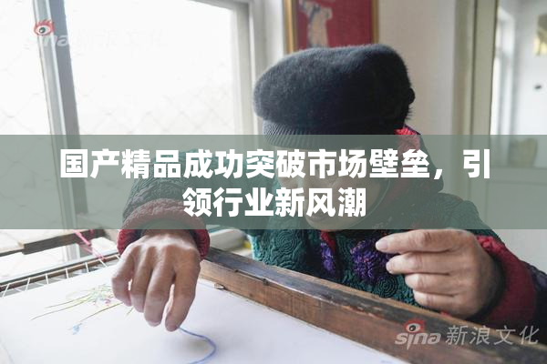 国产精品成功突破市场壁垒，引领行业新风潮