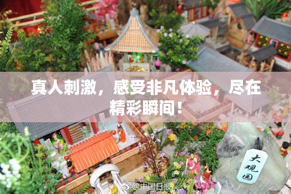 真人刺激，感受非凡体验，尽在精彩瞬间！