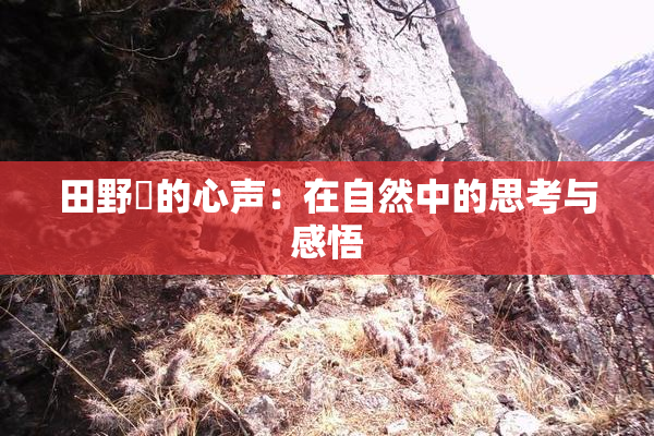 田野憂的心声：在自然中的思考与感悟