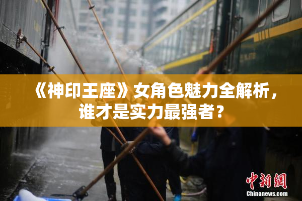 《神印王座》女角色魅力全解析，谁才是实力最强者？
