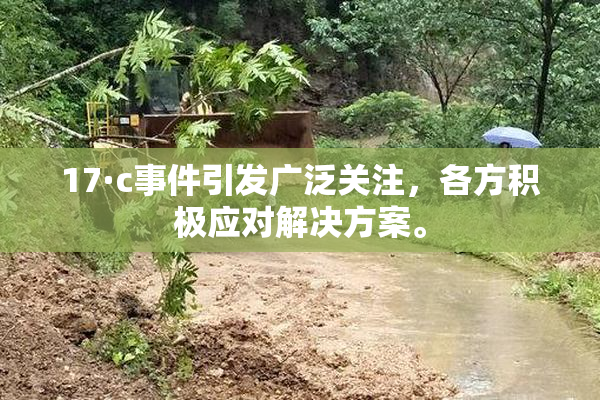 17·c事件引发广泛关注，各方积极应对解决方案。