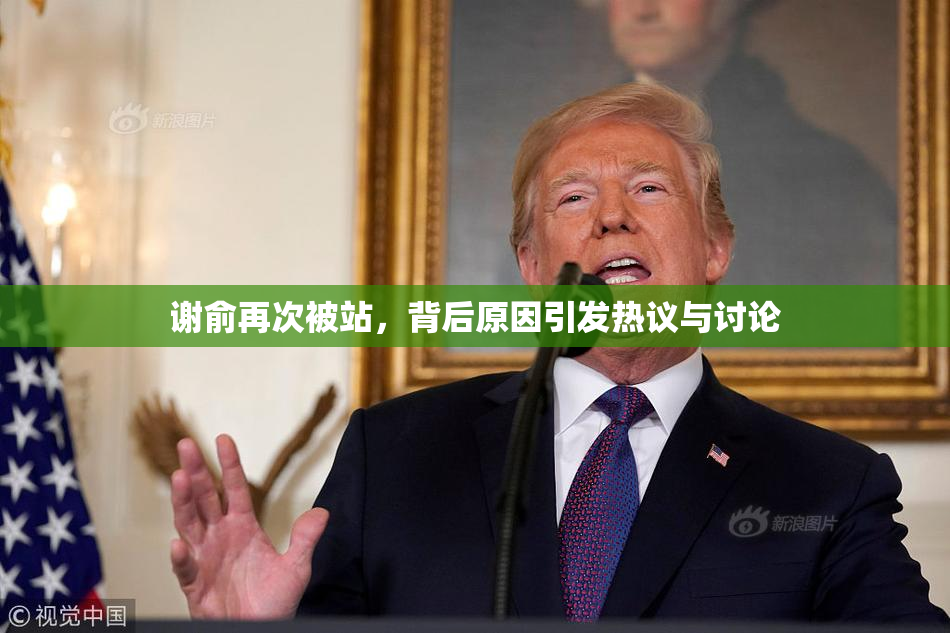 谢俞再次被站，背后原因引发热议与讨论