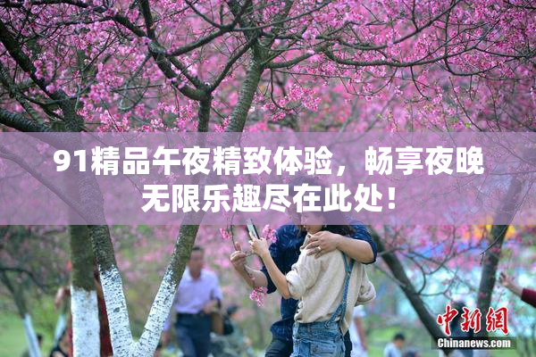 91精品午夜精致体验，畅享夜晚无限乐趣尽在此处！