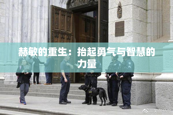 赫敏的重生：抬起勇气与智慧的力量