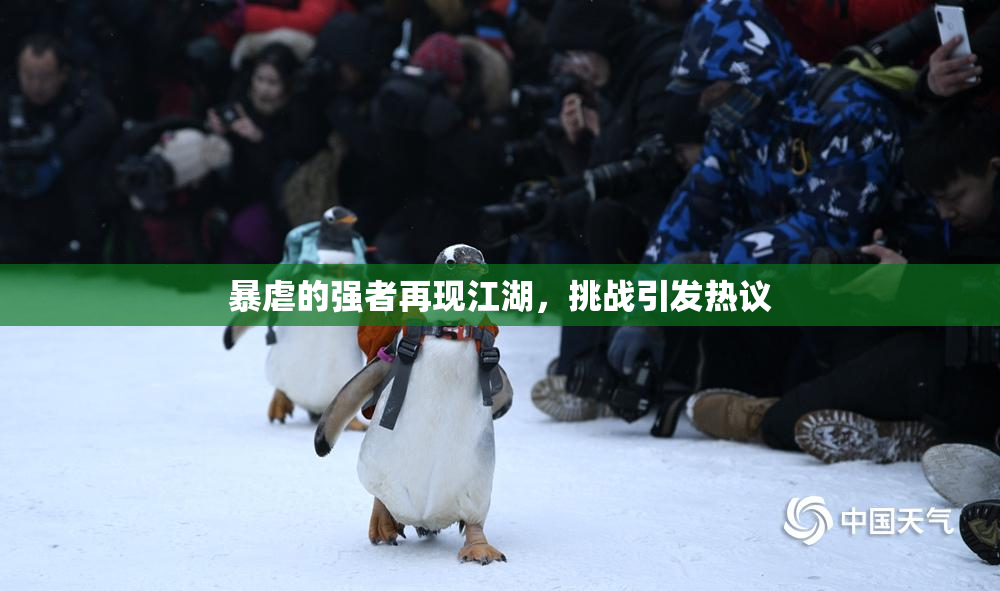 暴虐的强者再现江湖，挑战引发热议