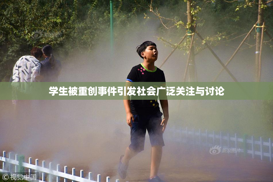 学生被重创事件引发社会广泛关注与讨论